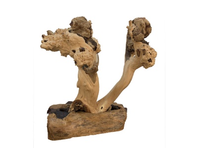 202006082103283833ED2CEE30A12C_s